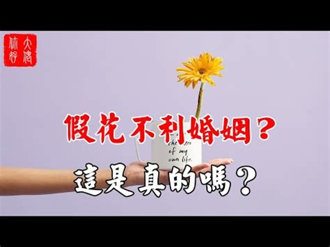 屋企放假花|【屋企放假花】小心！屋企放假花原來會影響風水？教你破解化解。